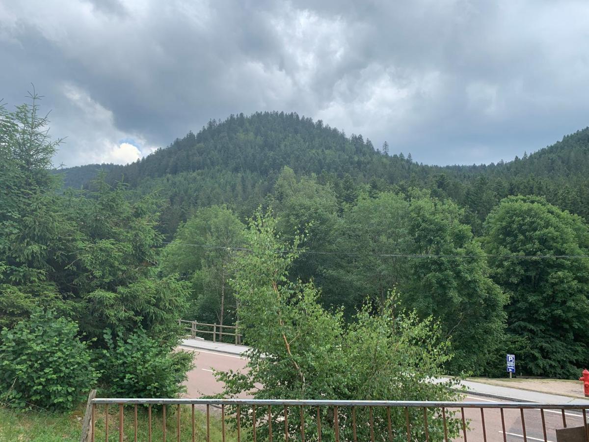 Gite De L'Ours La Bresse Kültér fotó