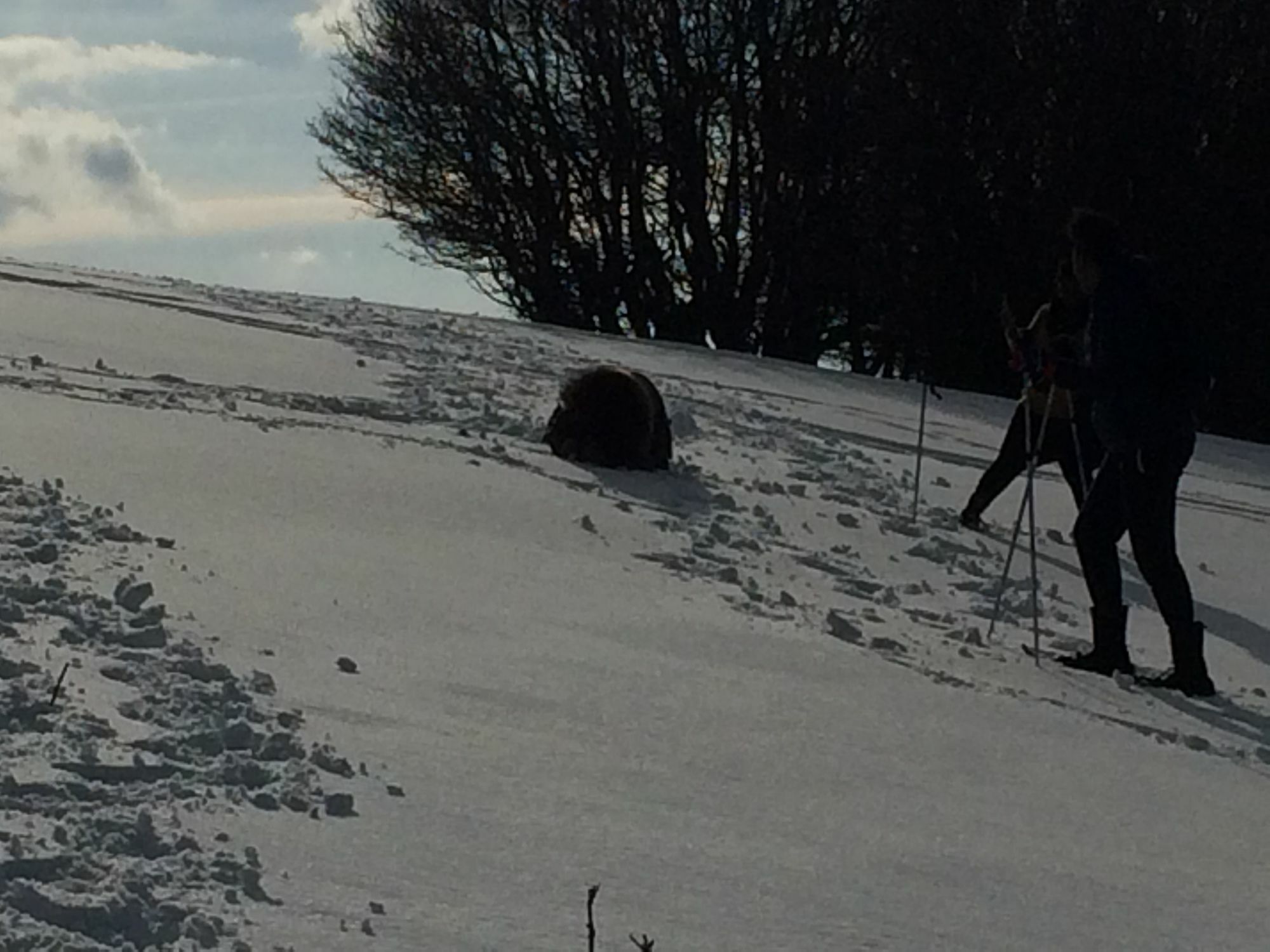 Gite De L'Ours La Bresse Kültér fotó